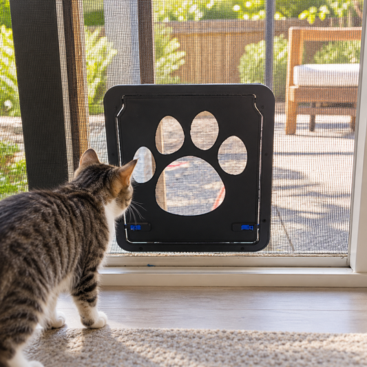 Lockable Screen Pet Door — shown in use